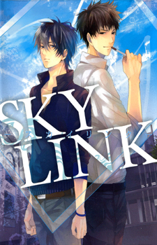 Sky Link / Незнакомое небо